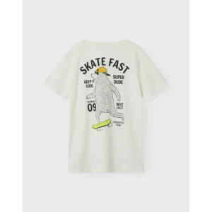 Tshirt Ragazzo 8-14a